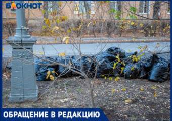 «Хожу по улице и собираю мусор»: волжанка бьет тревогу из-за нового эксперимента с отходами