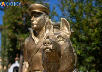 Солнце не порадует жителей Волжского в четверг: погода