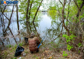 Выявлен переносчик опасной инфекции: волжан предупреждают об атаке