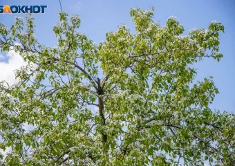 Волгоградская область усиливает борьбу с экологическими правонарушениями с помощью дронов