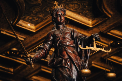 Квалифицированная помощь адвоката Луканиной Ирины Алексеевны  - 