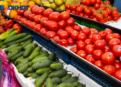 Волжские овощи проверили на пригодность в пищу 