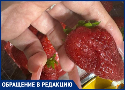 Гниль под красивой крышкой: в Волжском «Перекресток» снова продает испорченные фрукты