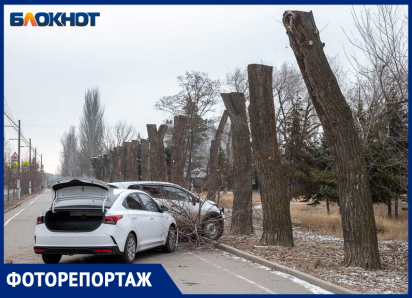 «Улетели в лесок»: авария на Набережной в Волжском, где чудом обошлось без жертв