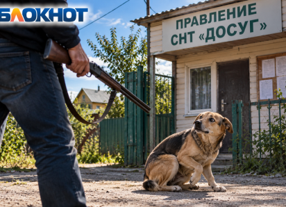 «Выманил едой, застрелил и увез в багажнике»: в СНТ Волжского неизвестный расправился с собакой Линдой