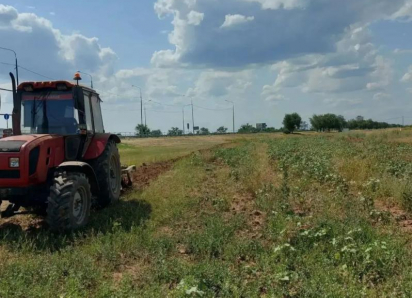 Щит от огня: Как в Волжском создают защитный барьер против природных пожаров