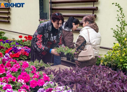 Искры творчества, криминальные тайны и ритмы весны: афиша Волжского на неделю с 20 по 26 апреля