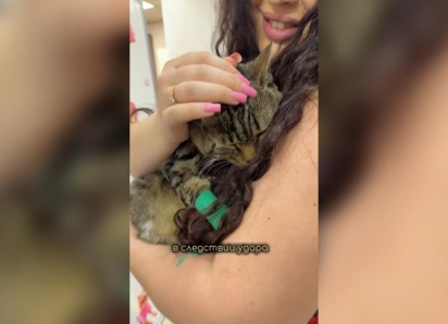 Неделями ждал помощи: в Волжском спасли брошенного кота