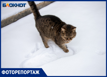 Снова поплывем: Волжский замело сугробами перед очередным потеплением 