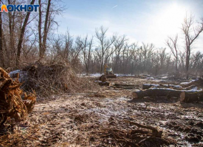 Депутаты незаконно прибрали к рукам земли в Киляковке