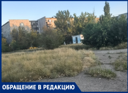 Высокая трава и амброзия в 30‑м микрорайоне Волжского: жители бьют тревогу
