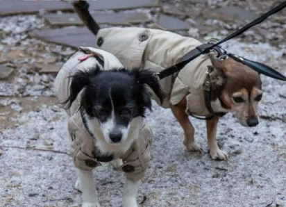 В холоде и темноте: в Волжском до утра не успели восстановить свет в СНТ