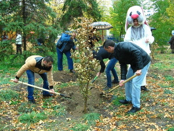 В парке «Гидростроитель» высадили сто деревьев и кустарников