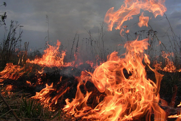 Сезон ландшафтных пожаров в Волгоградской области можно считать открытым
