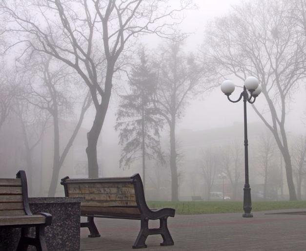Погода в Волжском: все выходные будет держаться туман и сильный ветер