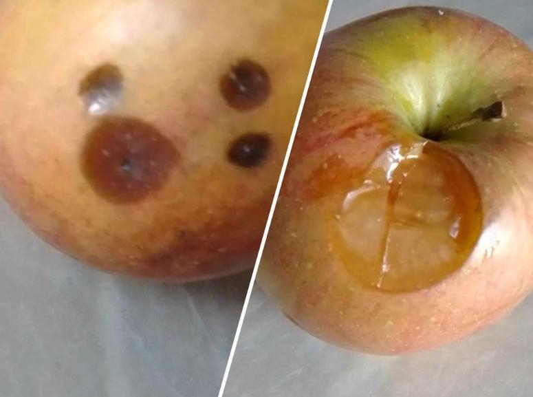 Гнилыми яблоками кормят школьников в Волжском: видео