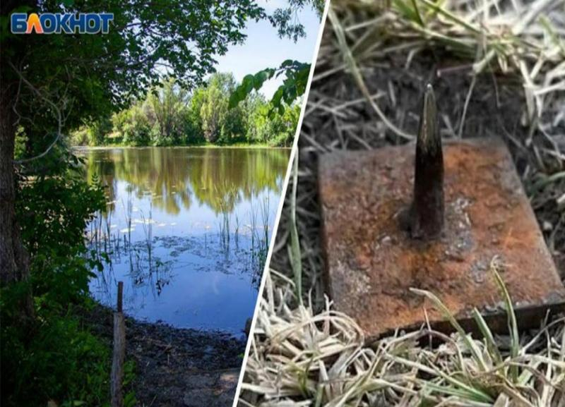 Страшные «вьетнамские ловушки» на озере лотосов под Волжским оказались фейком