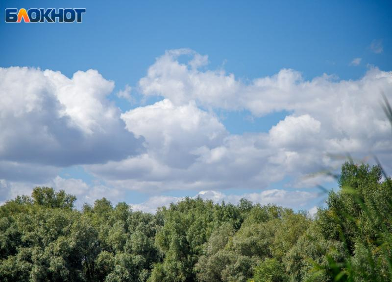 Солнечно и прохладно: прогноз погоды на субботу в Волжском
