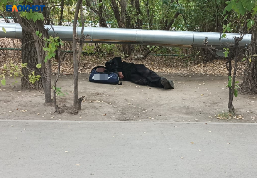 Подснежники в сентябре: в Волжском жители испугались спящего у дороги мужчину
