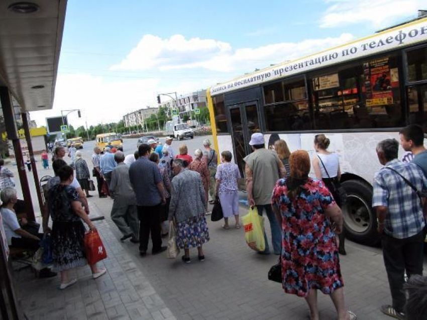 Волжане просят увеличить количество автобусов на 14 маршруте