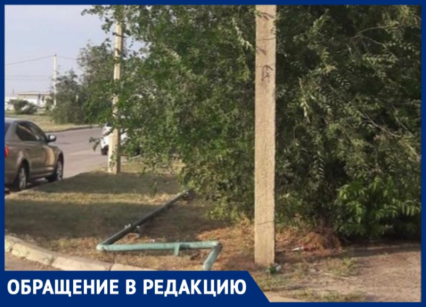 Сломанные ветки прибьют детей и родителей: засохшие деревья пугают жителей Волжского