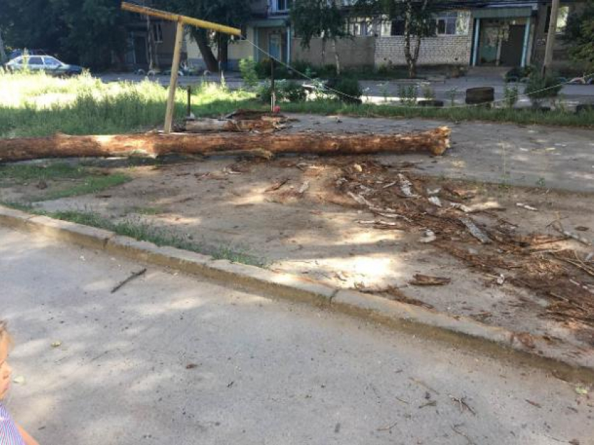 Огромное дерево упало на детскую площадку в Волжском