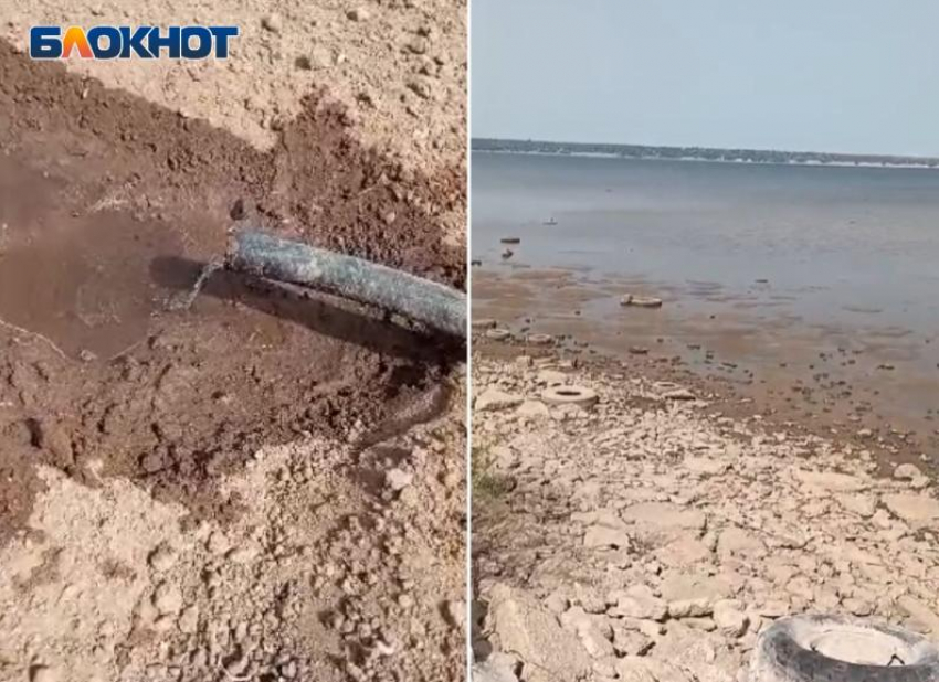 Засуха в волжских СНТ: когда режим ГЭС восстановится и дачники смогут начать полив