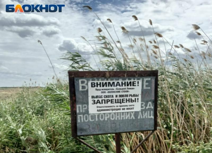 Волжский травит регион через Большой Лиман: ученые доказали экологическую катастрофу