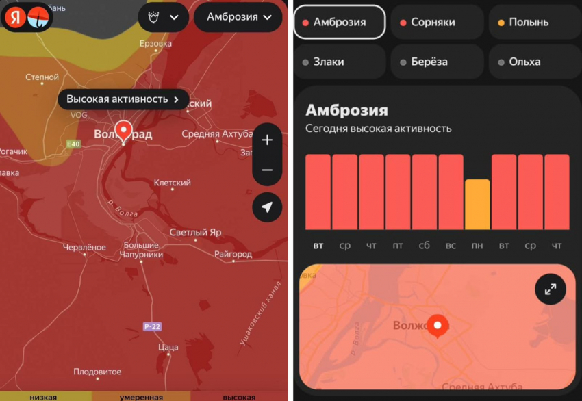 Красный код опасности по аллергии объявили в Волжском 