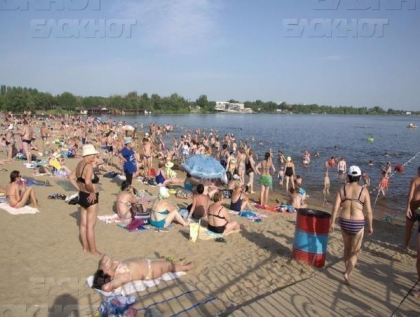 Полиция Волжского отказала в возбуждении дела за самоуправство в отношении платного пляжа на острове Зеленый