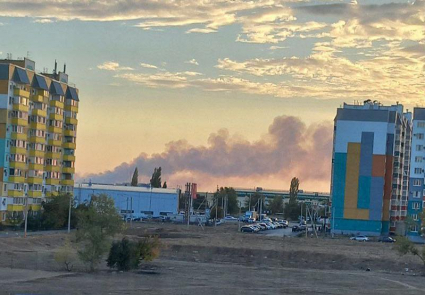 Огонь бушевал почти 11 часов: в Волго-Ахтубинской пойме ликвидирован пожар на площади 50 гектаров