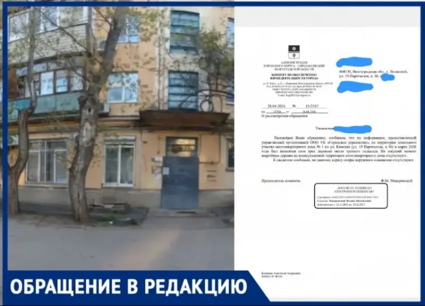 «Одно дерево за три считается?»: волжанка обвинила УК в липовом отчете о спиле аварийных деревьев