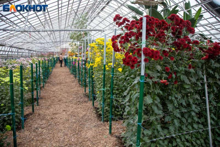 Матвеев день - Ветродуй: древние традиции, приметы и запреты