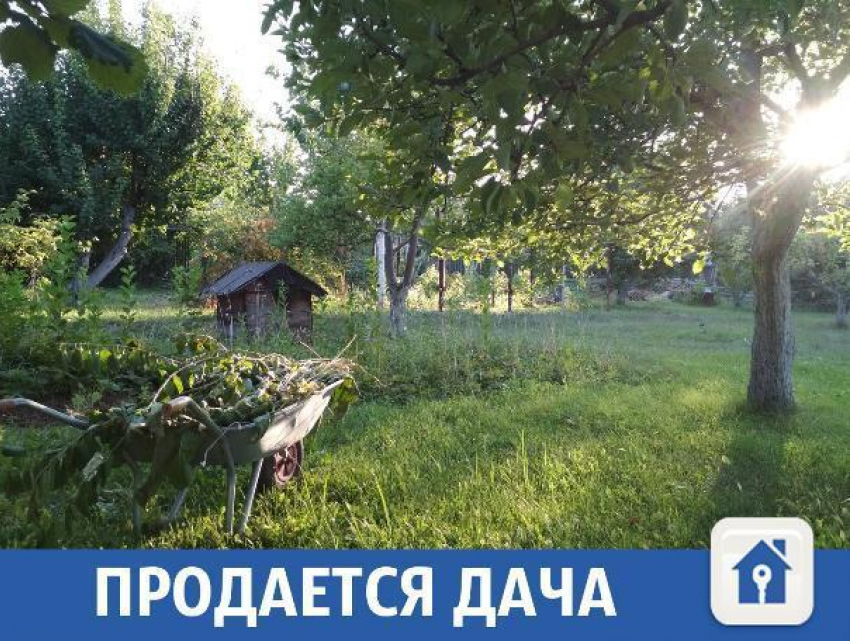 В Волжском продается чудесная дача