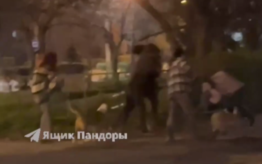 Массовая потасовка с участием мужчин, женщин и собак в Волжском