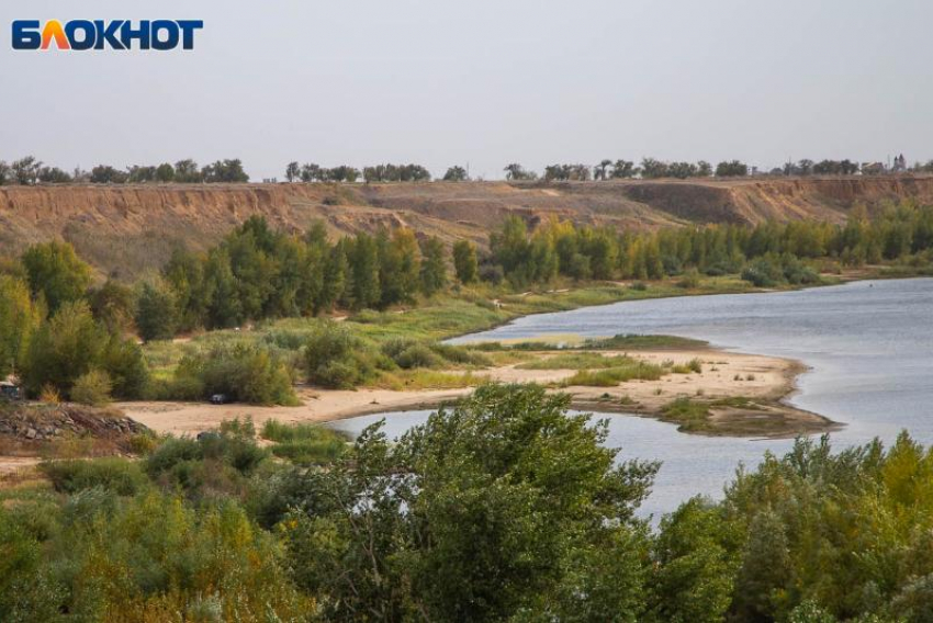 Жителей Волжского приглашают написать экологический диктант