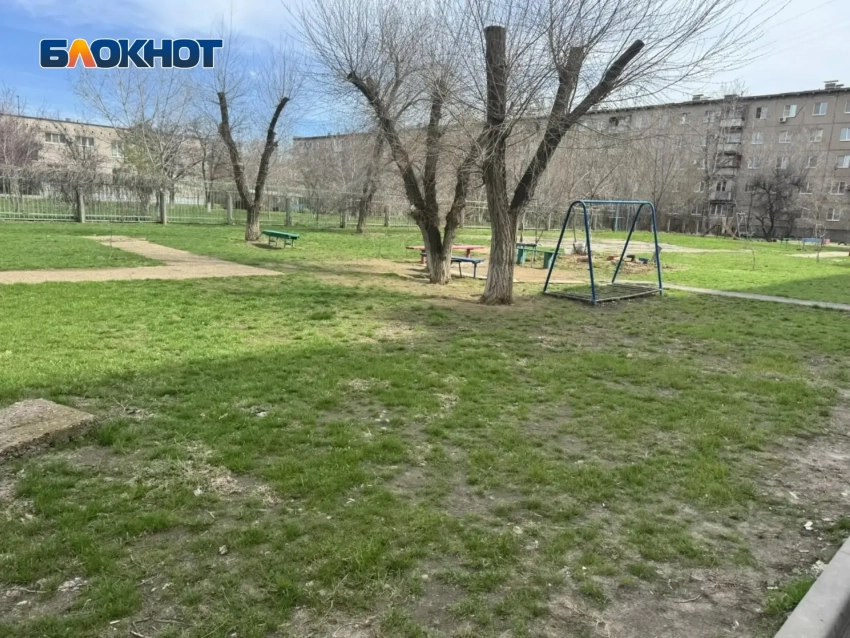 Комфорт для жизни через войну с бюрократией: как в Волжском приходится бороться за базовый минимум 