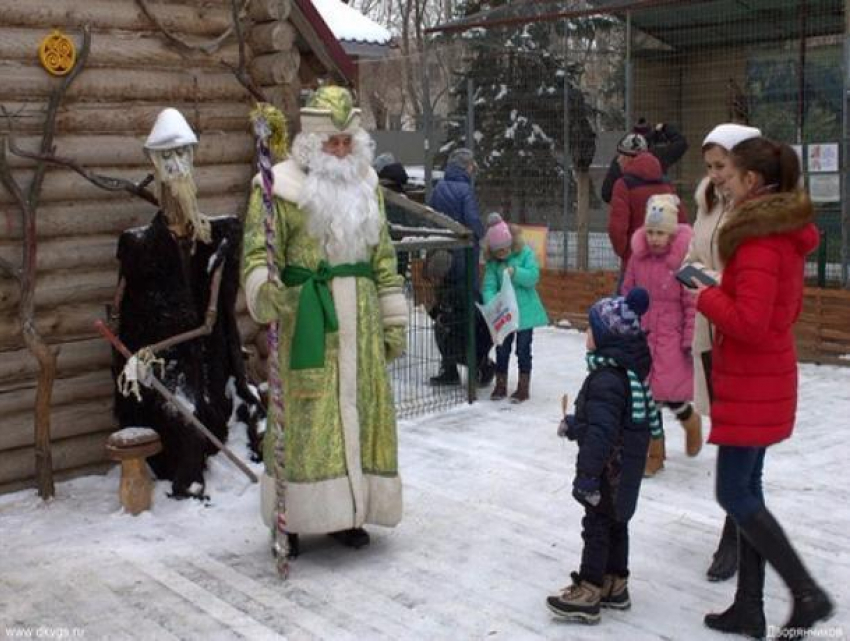 Зоодворик и резиденция Деда Мороза в парке ВГС работают без выходных