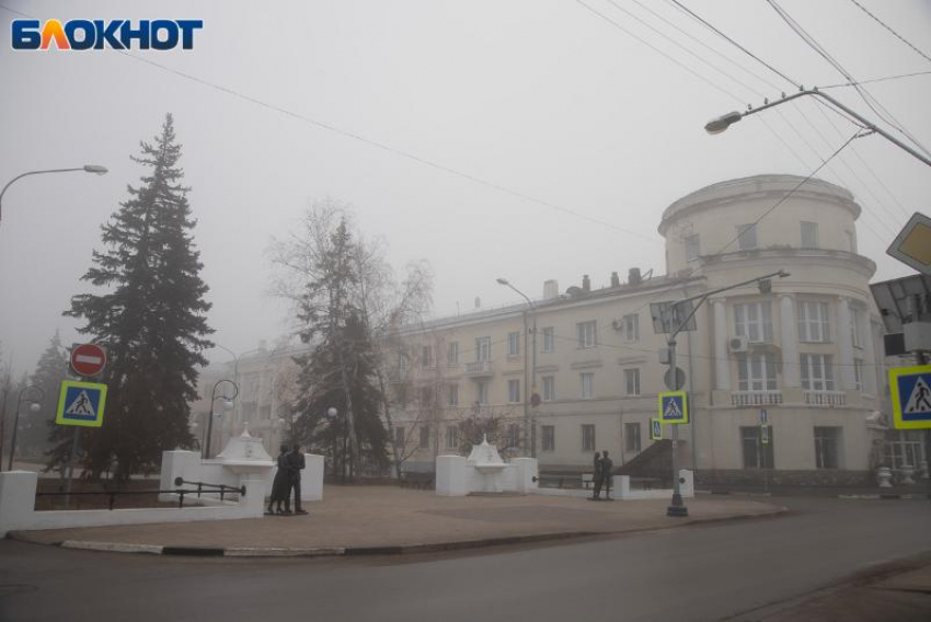 День Арины Шиповницы: шиповник от сглаза, журавли в дорогу и зимние приметы