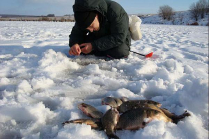 В Волгоградской области посоревнуются за звание лучшего рыбака