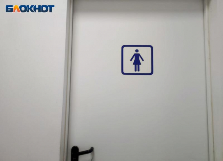 По 600 тысяч на туалет: сколько стоит содержание уборных парках Волжского