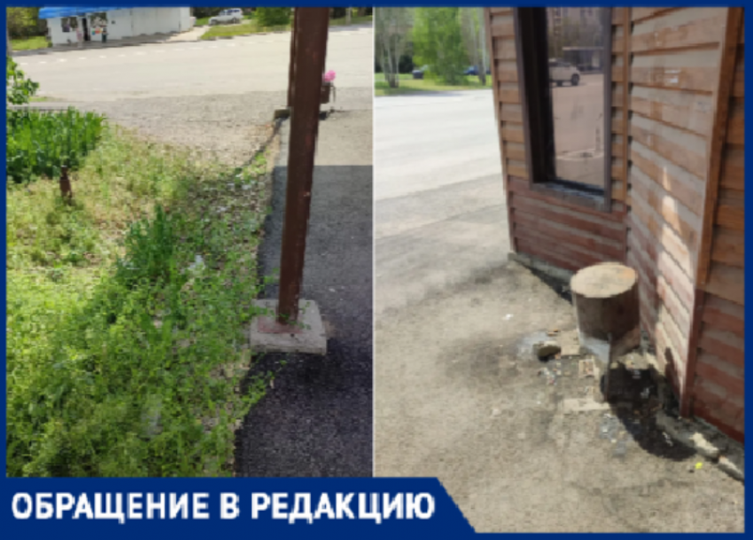 «Ехать стыдно, смотреть противно»: остановка «40 лет Победы» в Волжском утонула в мусоре