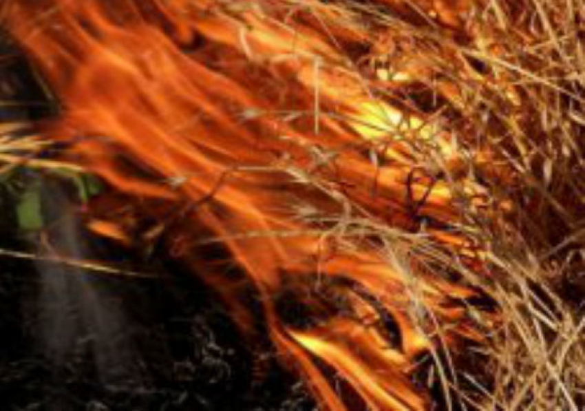 В Урюпинском районе бактерии стали причиной самовозгорания 5 тонн сена