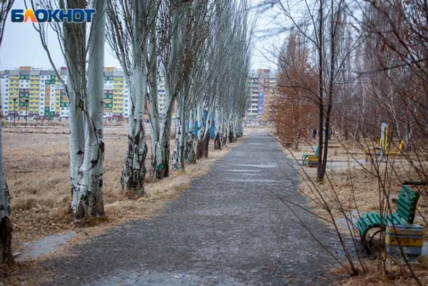 Прогноз погоды на понедельник