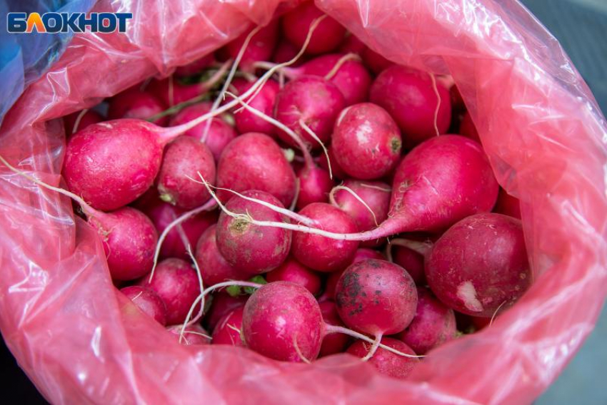 Редис, редька и репа: три корнеплода, которые помогут укрепить здоровье осенью