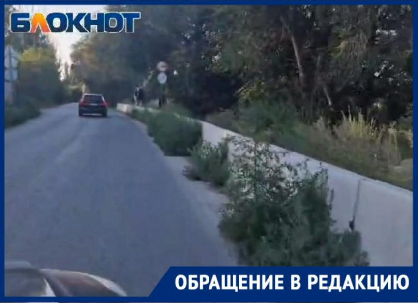 Новая дорога заросла травой после ремонта в центре Волжского: видео