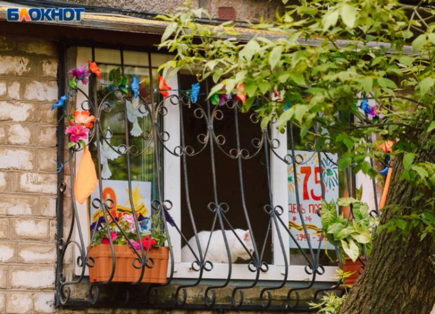 Участники и зрители парада Победы будут провакцинированы