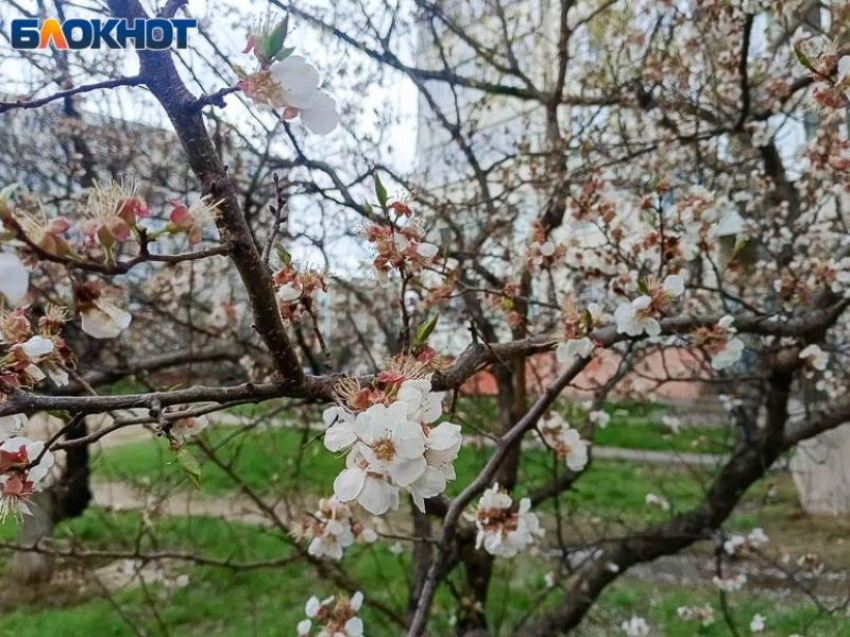 Майское затишье с сюрпризом: когда Волжский накроет геоштормом