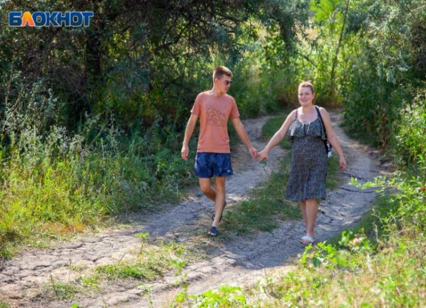 В Волжском ожидается потепление: прогноз погоды