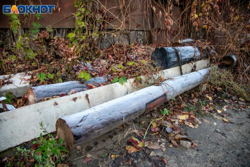 Дмитриев день: народные приметы, обычаи и запреты этого дня